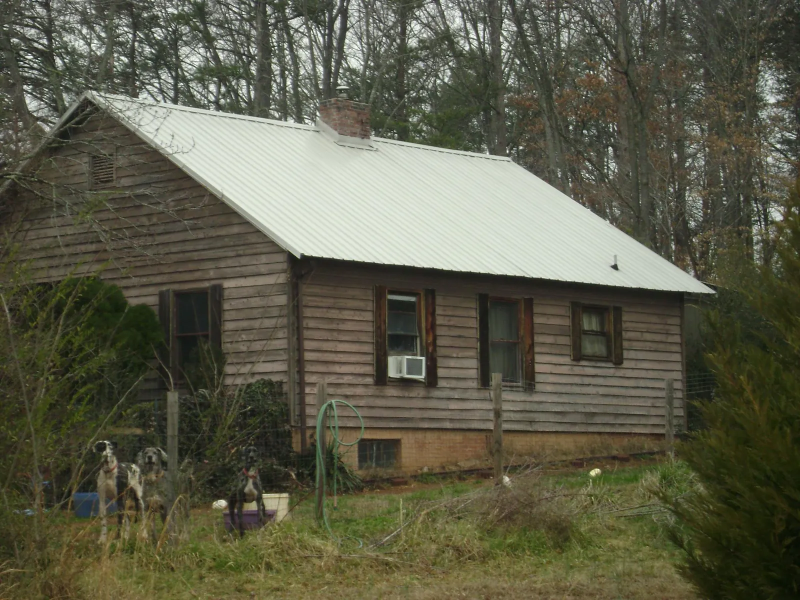 White metal roof on an old wood sided farmhouse, from a Asphalt Shingle Roof Repair job in Okemos